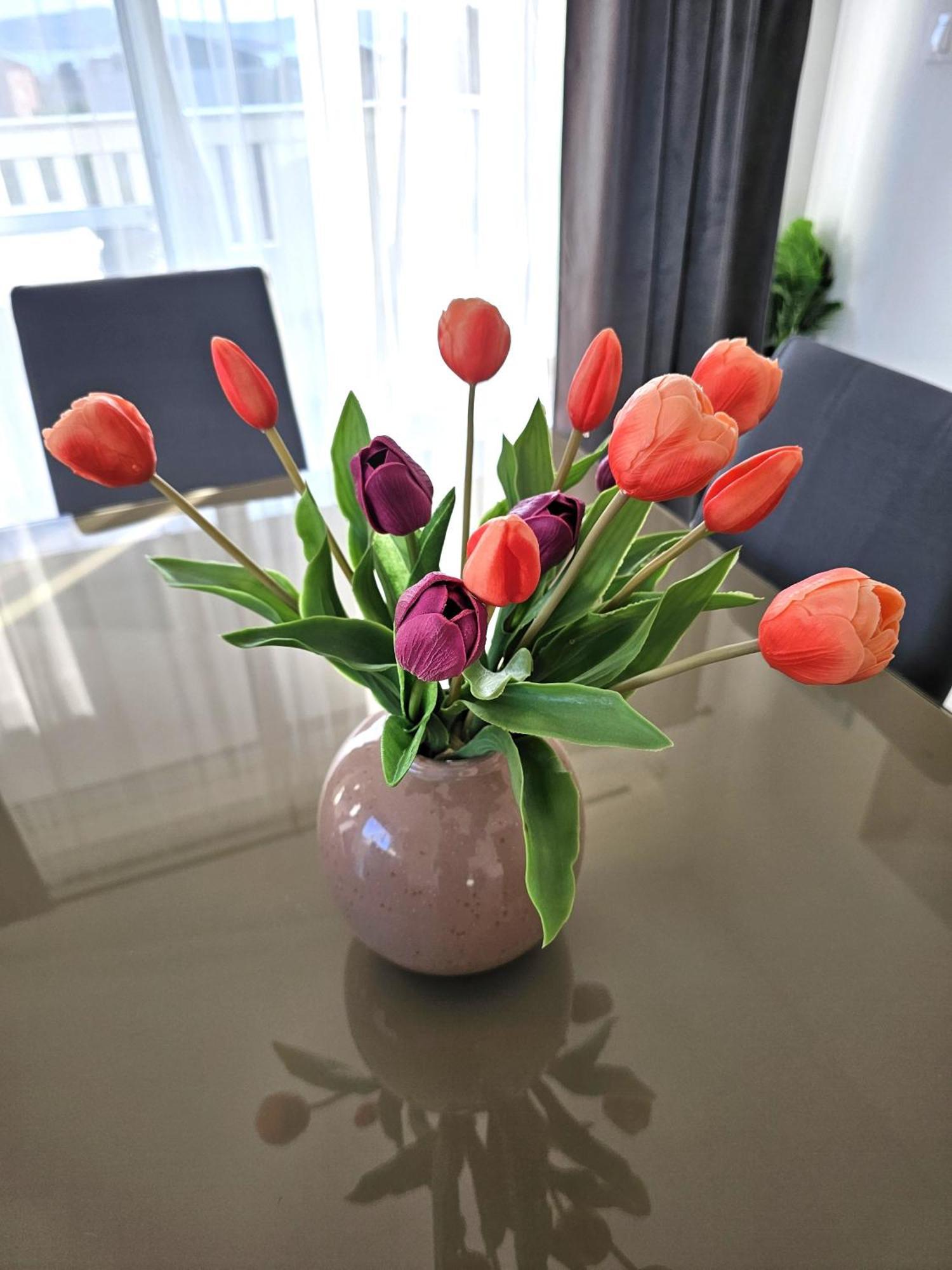 Apartment Zara Biograd Na Moru Exteriér fotografie